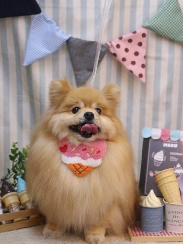 20250511梛都ちゃん